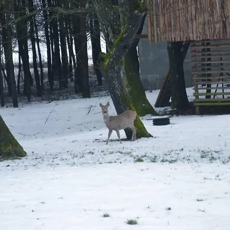 Фермерский дом Figlarnia *