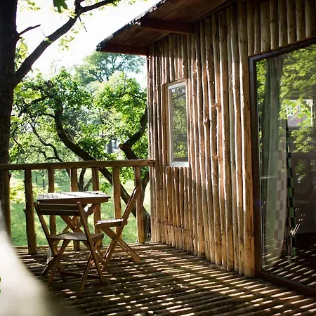 Figlarnia Debnica Kaszubska