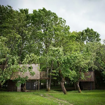 Farm stay Figlarnia