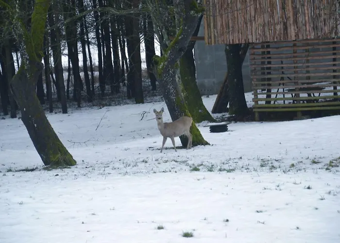 Фермерский дом Figlarnia *