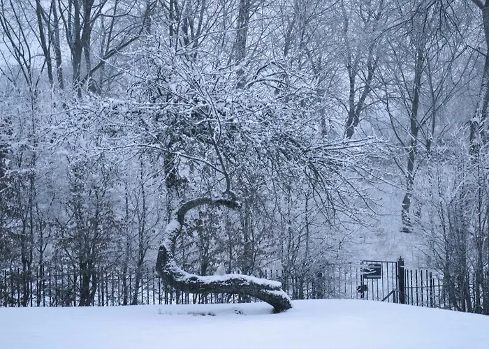 Figlarnia Фермерский дом *