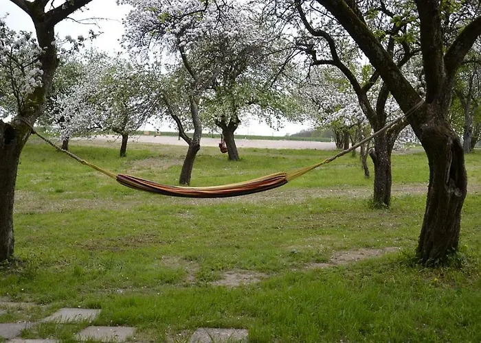 Figlarnia Debnica Kaszubska