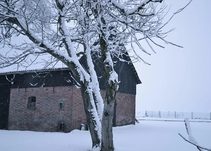 Figlarnia Фермерский дом