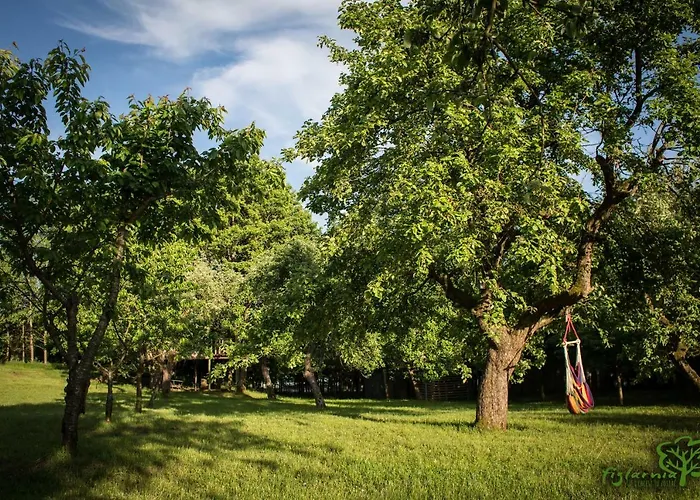 Figlarnia * Debnica Kaszubska